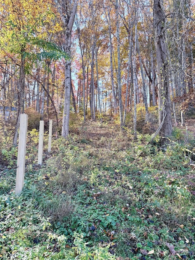 99999 Dix Creek No 1 Rd, Leicester, NC 28748 - photo 3