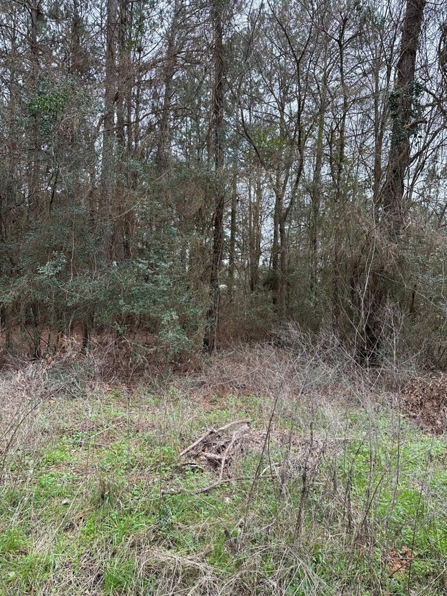 00 Magnolia Spring, Plantersville, TX 77363 - photo 5