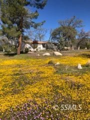 20501 Schell Ranch Rd Caliente 93518