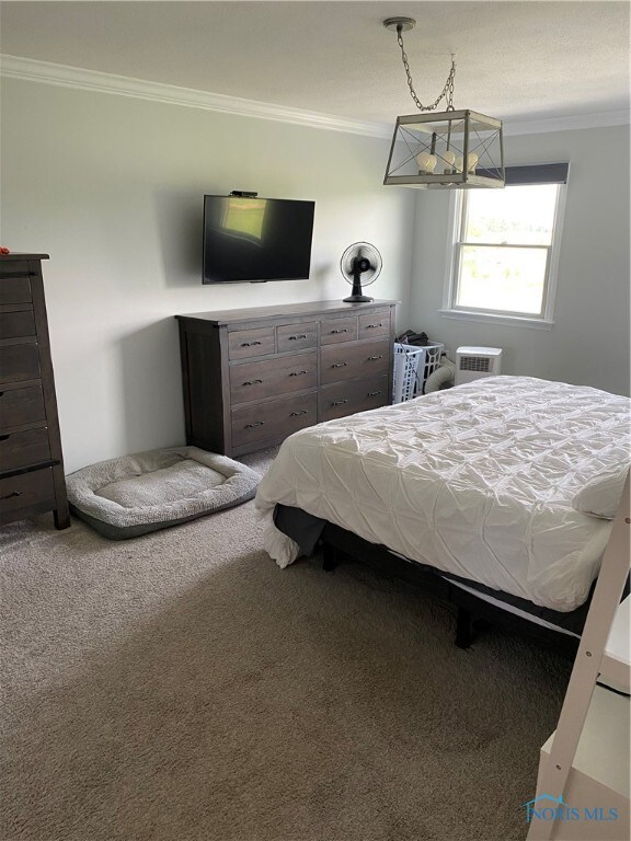 13451 Freyman Rd, Cygnet, OH 43413 - photo 7