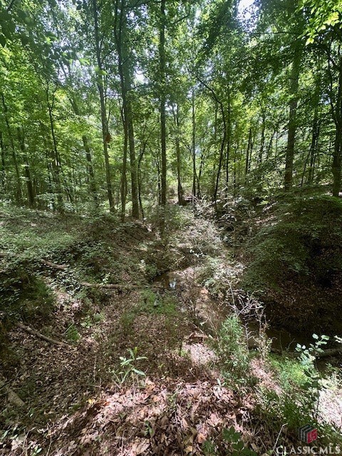 0 Roosevelt Cir unit 1017485, Bowman, GA 30635 - photo 7