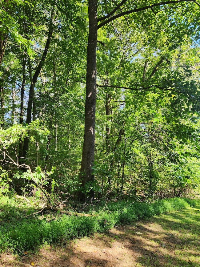 0 Old State Highway 28, Dunlap, TN 37327 - photo 2