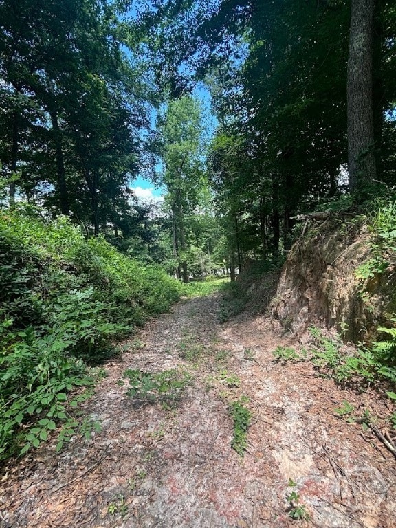 282 Tuckasee-King Rd, Clyo, GA 31303 - photo 5