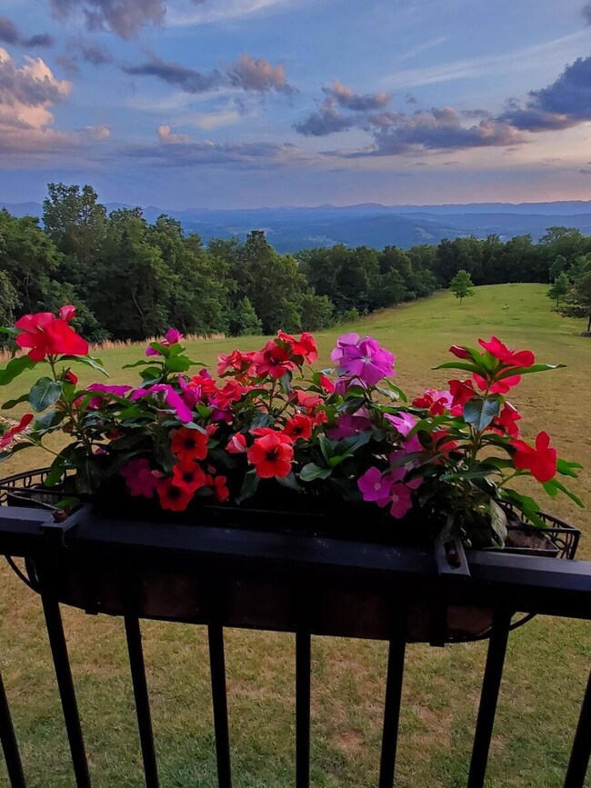 890 Blain Rd Mountain Views 2