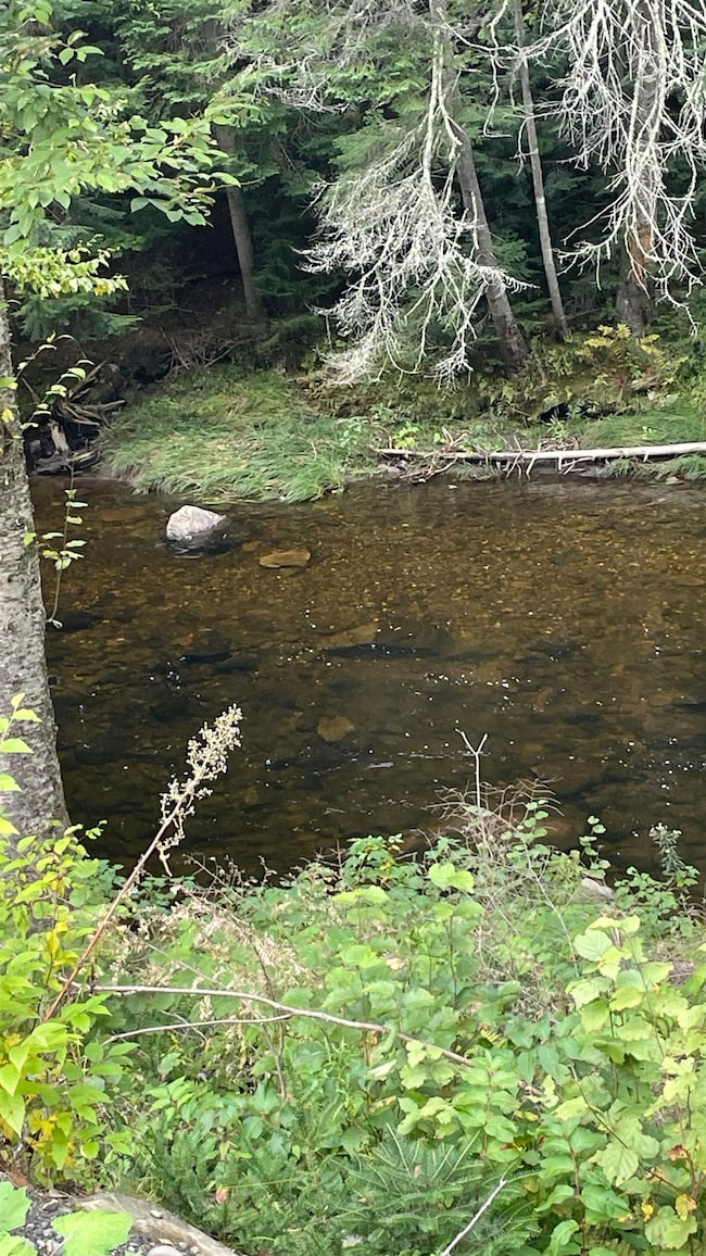 0 US Route 3 unit 4971718, North Stratford, NH 03590 - photo 5