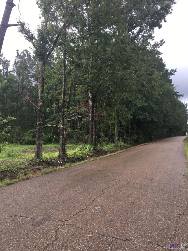 0 Lewis Rd unit 2022016915, Maurepas, LA 70449 - photo 7