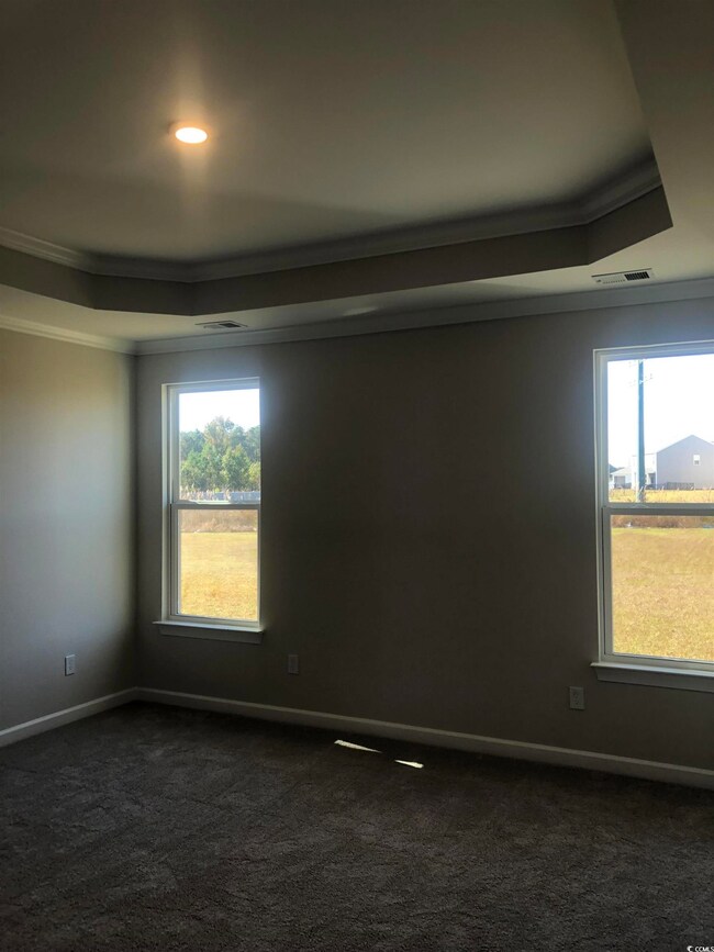 Unfurnished room with crown molding, a healthy amo