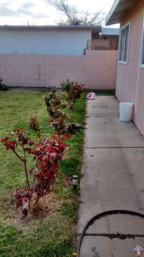 Additional Photo