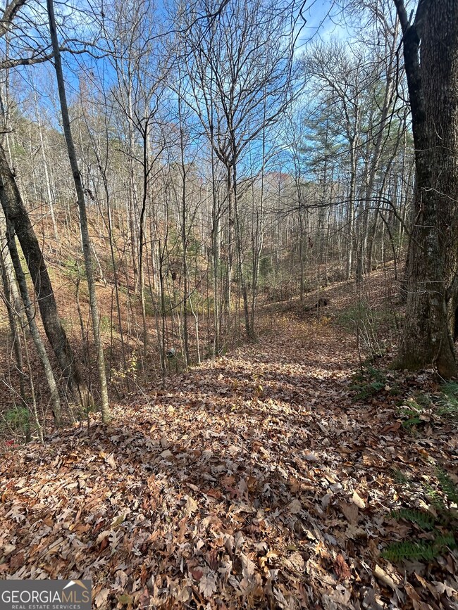 0 Amaryllis Ln unit 10647717, Tiger, GA 30576 - photo 4