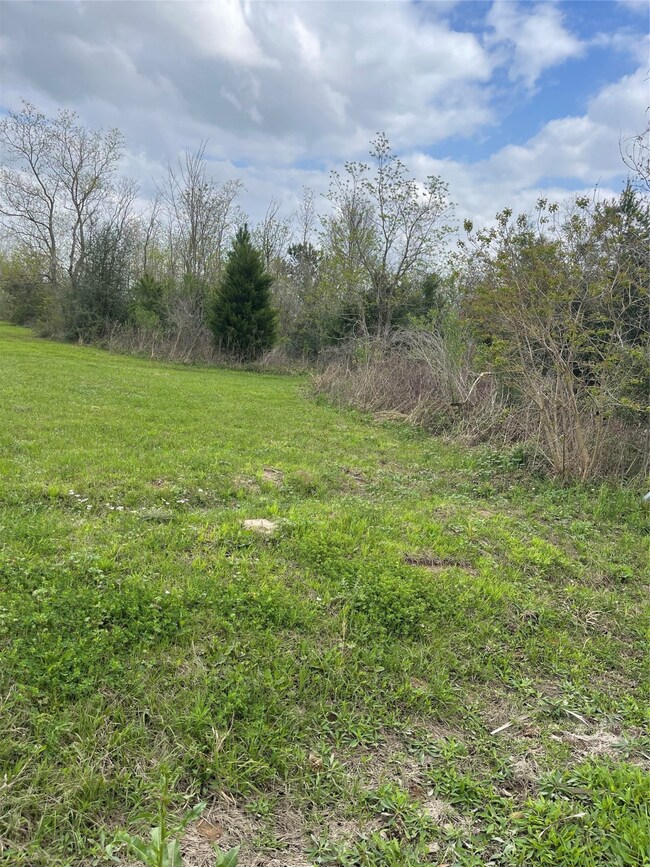 TBD Ibis Rd, Hockley, TX 77447 - photo 2