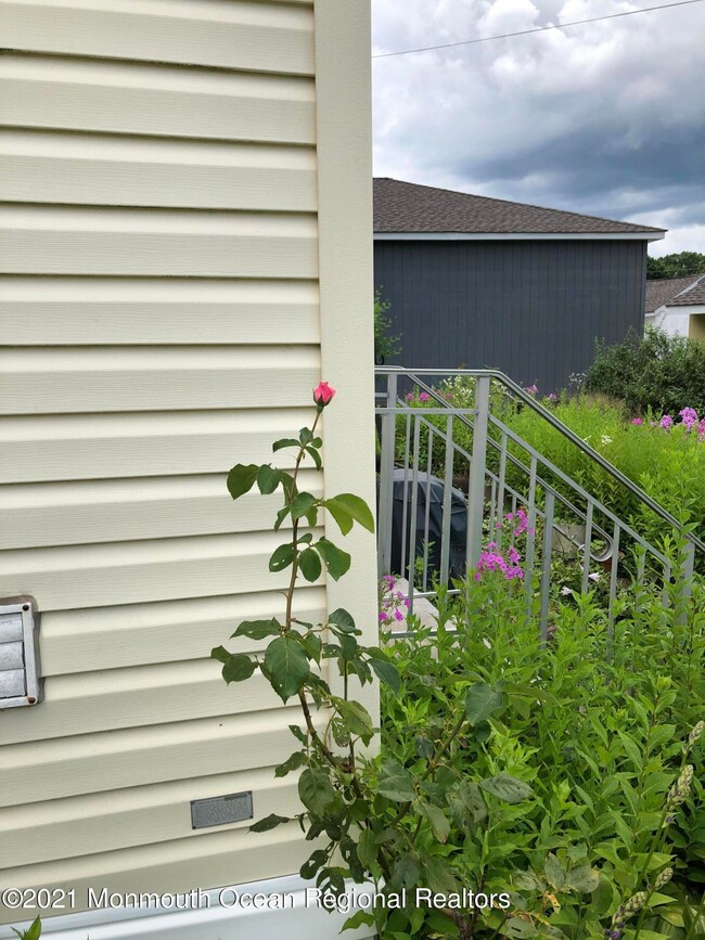 IMG-0654 (1)
