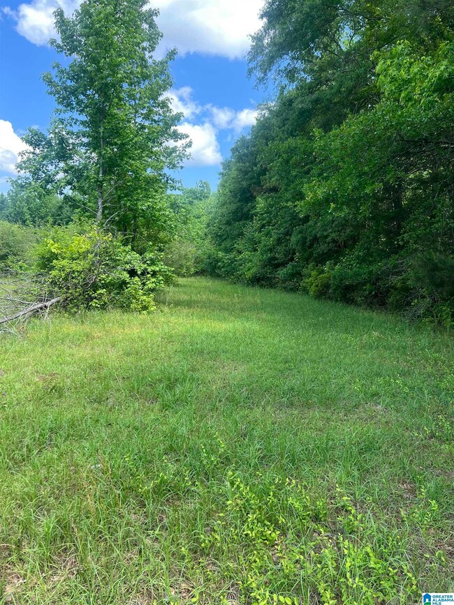 0 Hopewell Dr unit 21433405, Clanton, AL 35045 - photo 2