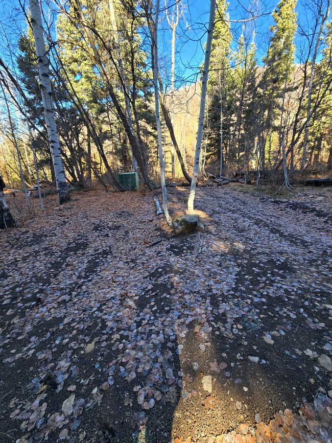 827 E North Fork Rd S unit 827, Fairview, UT 84629 - photo 6