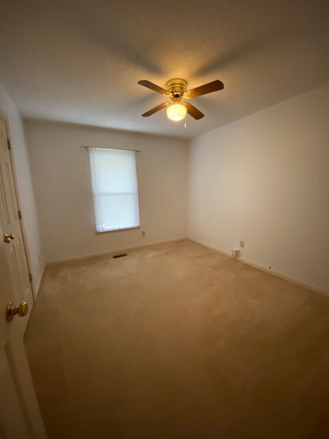 3006 Windsor Dr, Columbia, TN 38401 - photo 7