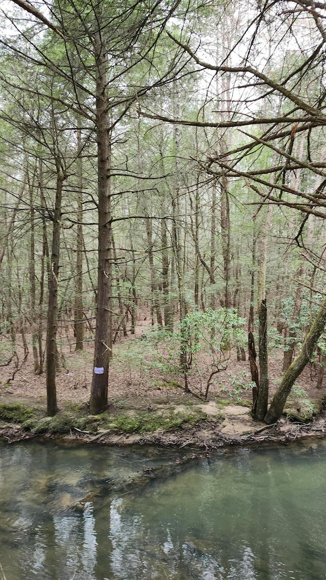 Lowe Stream2