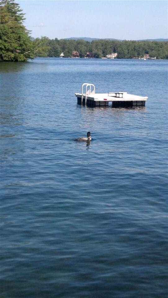 75 Kona Bay Rd, Moultonborough, NH 03254 - photo 5