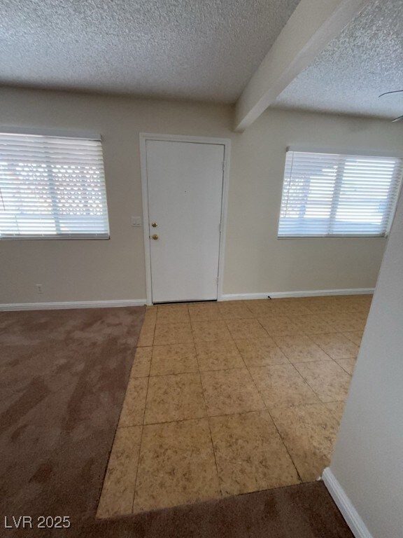 Carpeted entryway with a wealth of natural light,