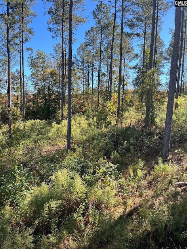 DRF 5 Dawkins Rd unit DRF 5, Pacolet, SC 29372 - photo 7