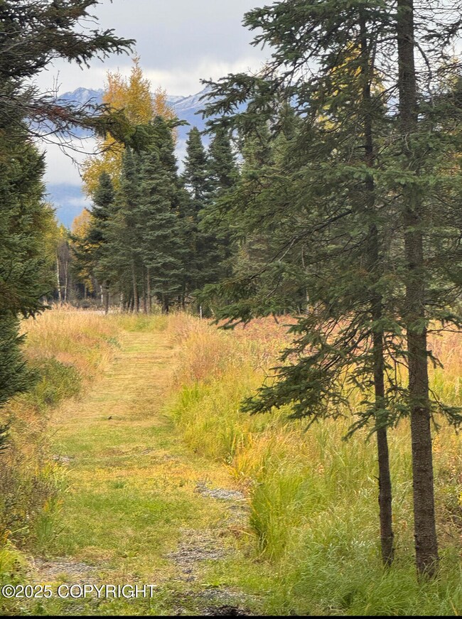 6017 Collins Way, Anchorage, AK 99502 - photo 6