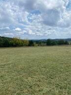 1007 Glenlock Rd, Sweetwater, TN 37874 - photo 3