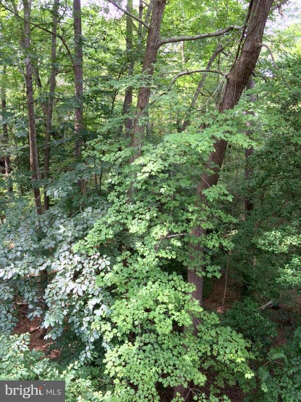 23309 Sugar Maple Ct unit 811, California, MD 20619 - photo 2