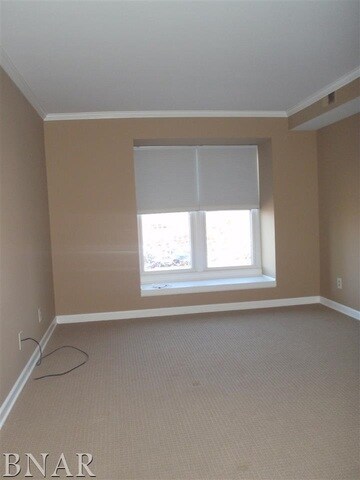 111 Rust Rd unit 308, Bloomington, IL 61701 - photo 5