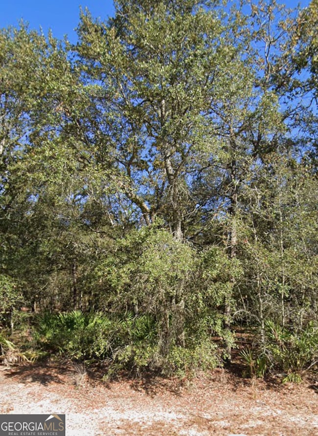 1344 River Landing Way, Blackshear, GA 31516 - photo 7