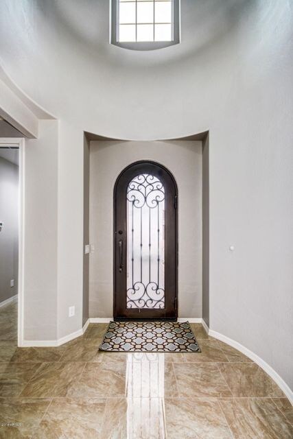 Elegant Iron and Glass Entry Door