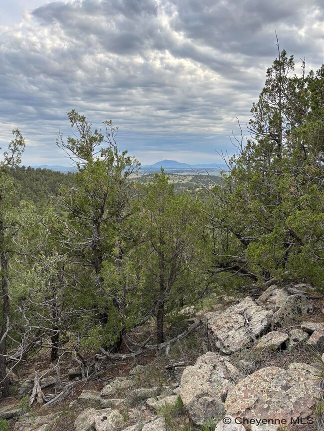 Por. Section 17 Glendo Park Rd unit 3, Glendo, WY 82213 - photo 6