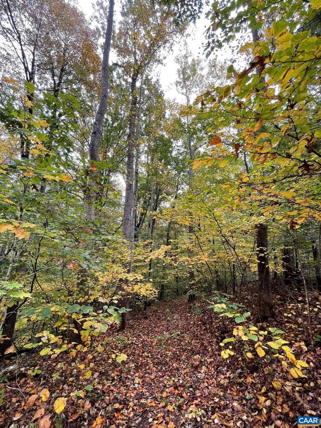 TBD Middle River Rd, Stanardsville, VA 22973 - photo 2