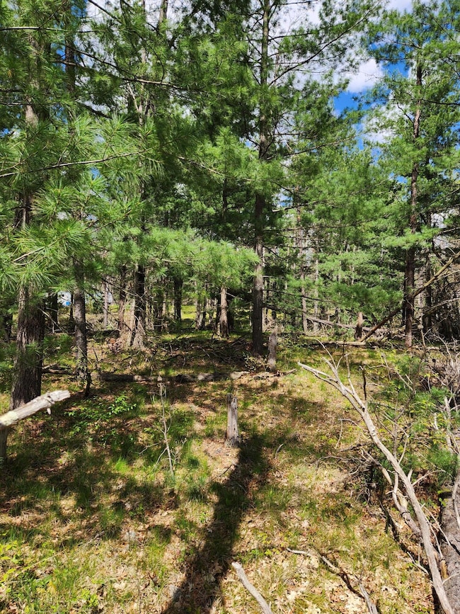 8950 Chatman St, Pleasant Plains Township, MI 49642 - photo 4