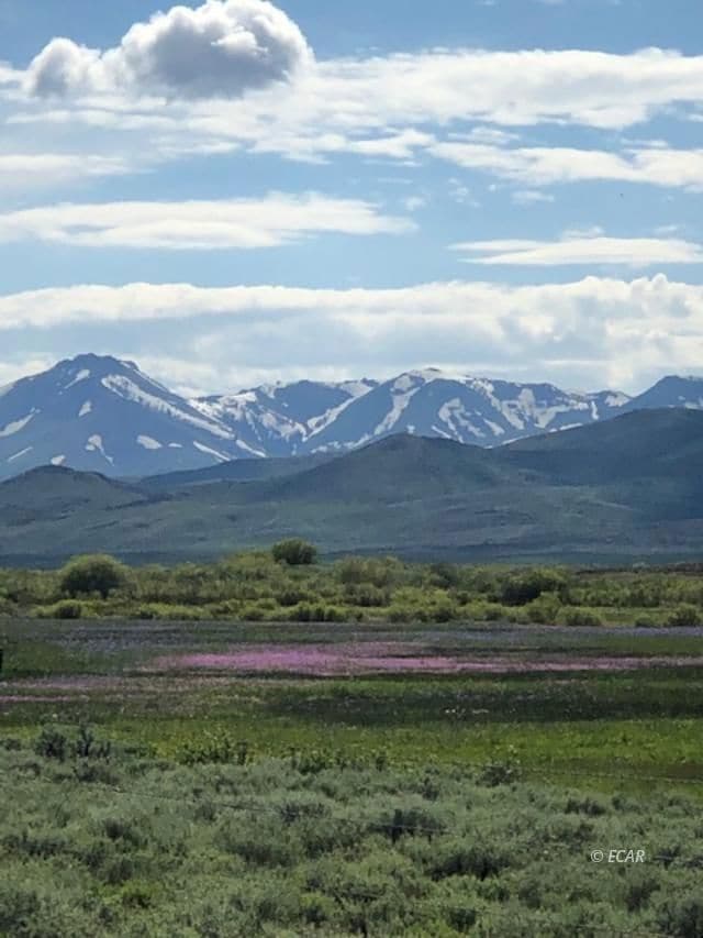 000 Jasper Ave, Wildhorse, NV 89815 - photo 4