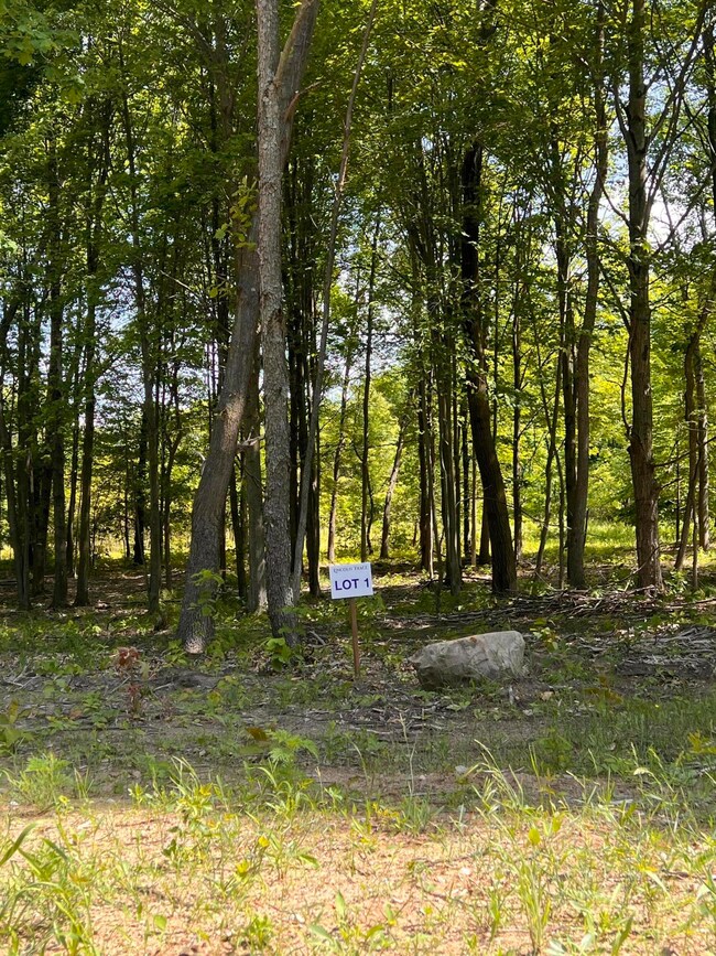 Lot 1