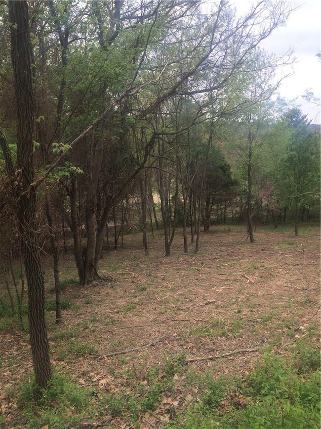 12 Country Club Cir, Bella Vista, AR 72715 - photo 5