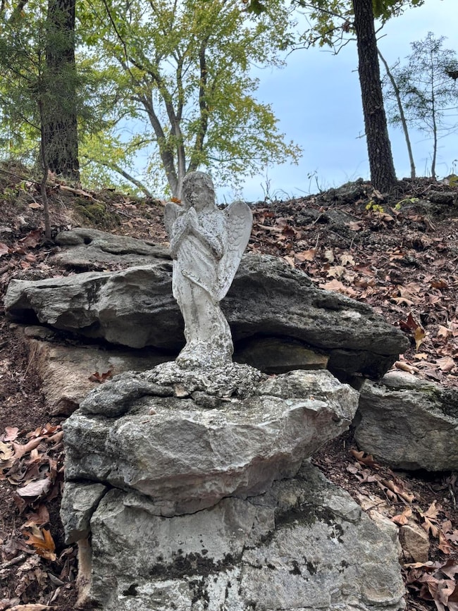 1814 State Highway 125 S, Sparta, MO 65753 - photo 3