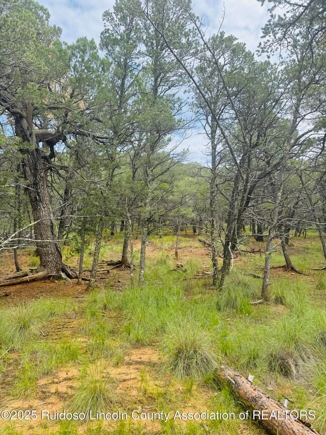 - Johnnys Dr, Timberon, NM 88350 - photo 6