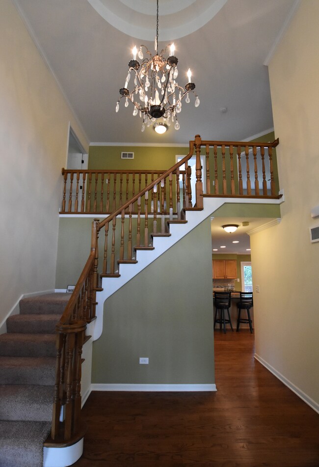 1036 Sheringham Dr, Naperville, IL 60565 - photo 2