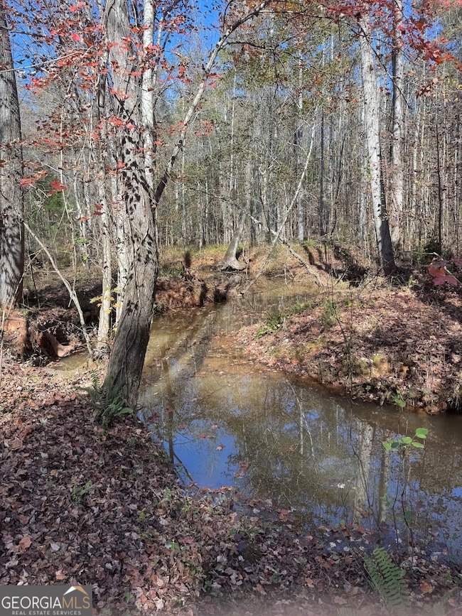 157 W Drummond Rd, West Point, GA 31833 - photo 4