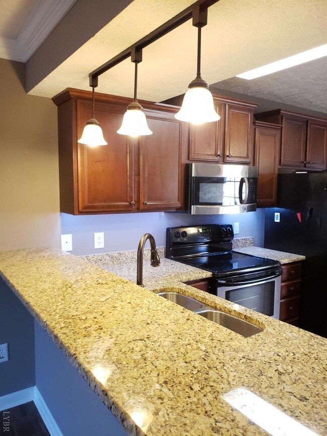 142 Old Tavern Cir, Lynchburg, VA 24501 - photo 6