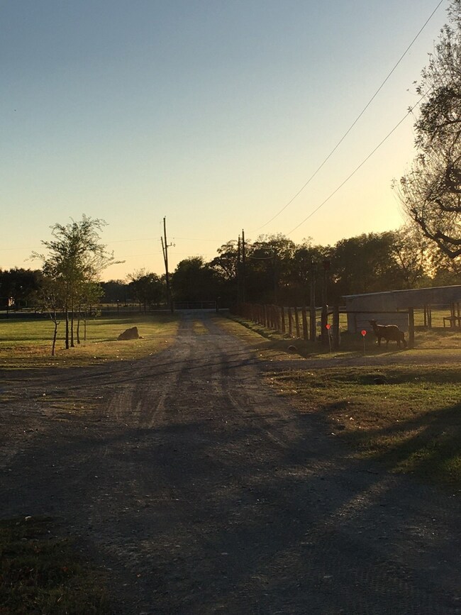 7031 Kamas Ln, Needville, TX 77461 - photo 6
