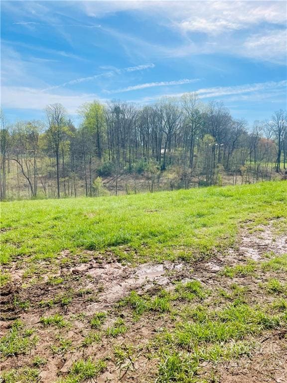 198 Austin Rd, Statesville, NC 28625 - photo 7