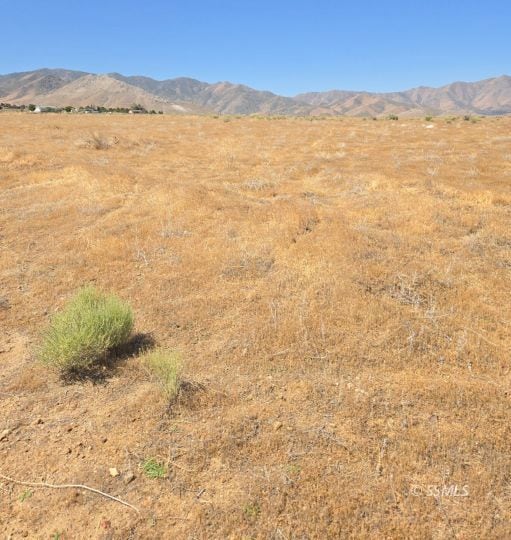 426-390-06 Lakeview Rd, Weldon, CA 93283 - photo 6