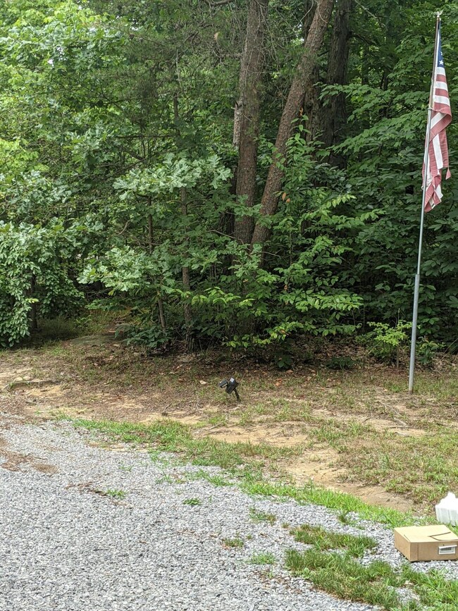 PXL_20210707_195759567