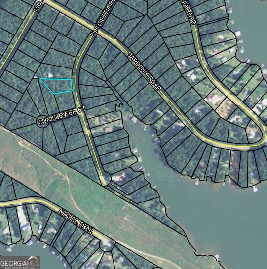 0 Poinsettia Place, Sparta, GA 31087 - photo 2