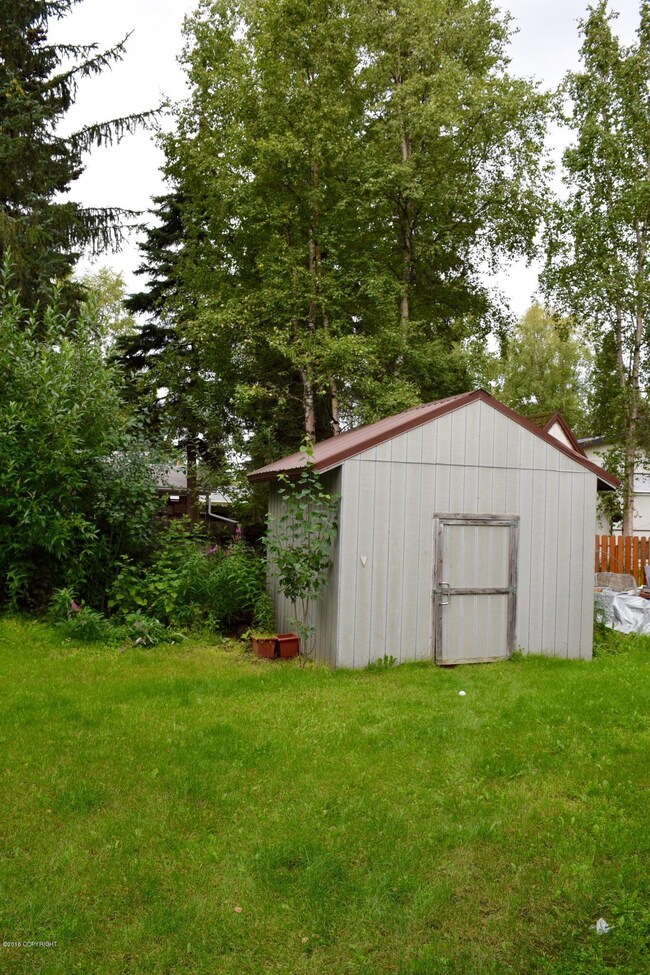 Shed in the back yard