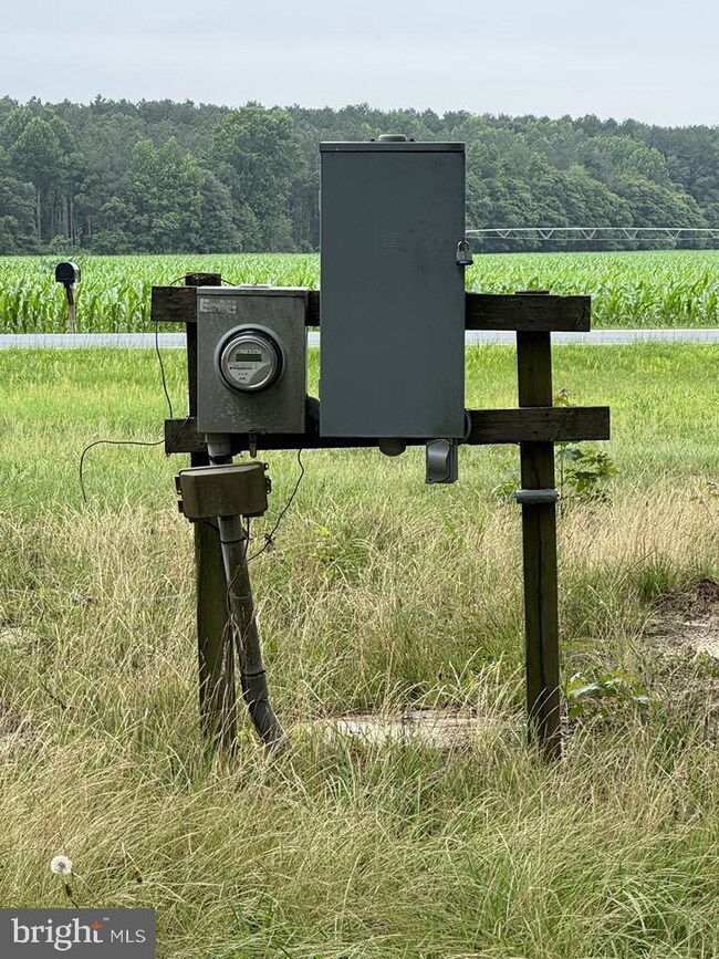 14073 Old Furnace Rd, Georgetown, DE 19947 - photo 4