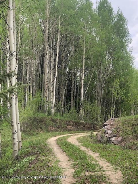 1250 (Lot 37) Red Mountain Ranch Rd, Crested Butte, CO 81224 - photo 7