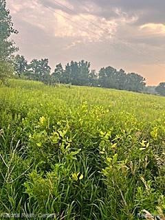 00 W Vogt Rd, Conway Township, MI 48836 - photo 3