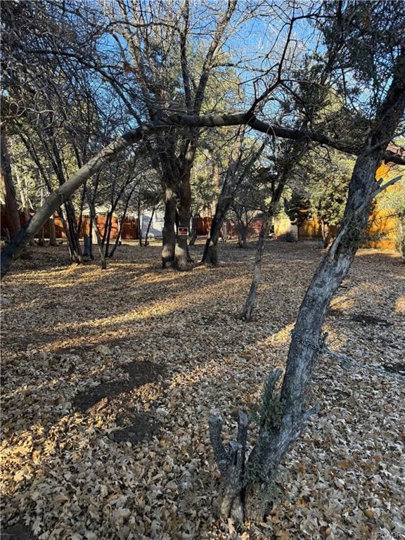 0 San Bernardino Ave unit 32502825, Sugarloaf, CA 92386 - photo 4