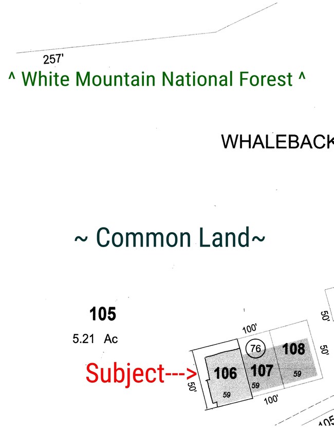 59 Easterly Rd unit 3, Lincoln, NH 03251 - photo 3